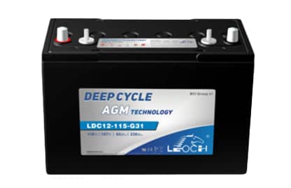Leoch LDC8-180-GC8